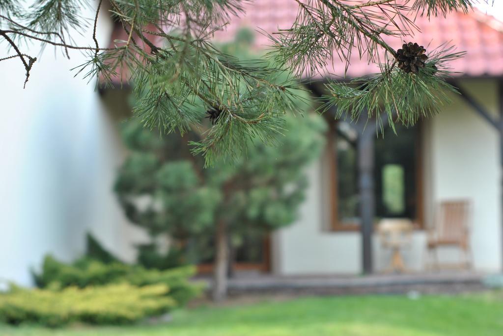 Apartament Wita Niemcz Δωμάτιο φωτογραφία